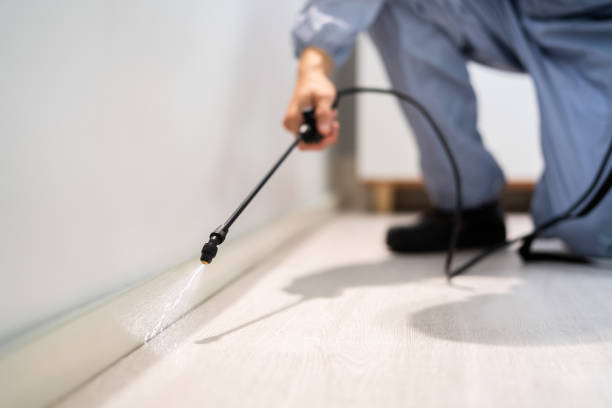 Rodent Entry Point Assessment in Claremont
