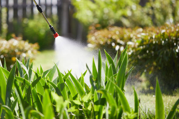 Tamper-Resistant Bait Stations for Rodents in Claremont