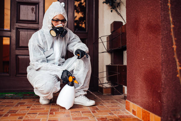 Attic and Crawl Space Rodent Treatment in Claremont